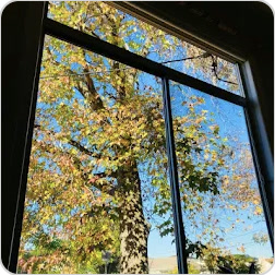 Clean window shared by Zeara 247, photo 1